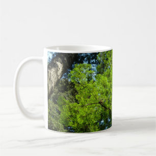 Redwood Boughs på Redwood National Park Kaffemugg