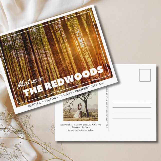 Redwood Bröllop, vykort för datum (redwoods national park wedding save the date)