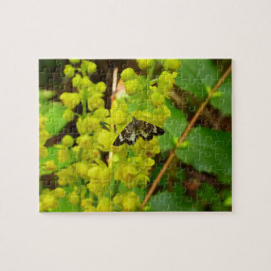 Redwood Butterfly och Wildblommor Pussel