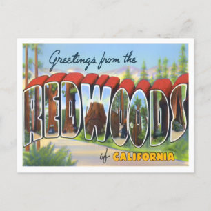 Redwood, California Vintage Big Brev Vykort