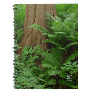 Redwood & Ferns notebook Anteckningsbok
