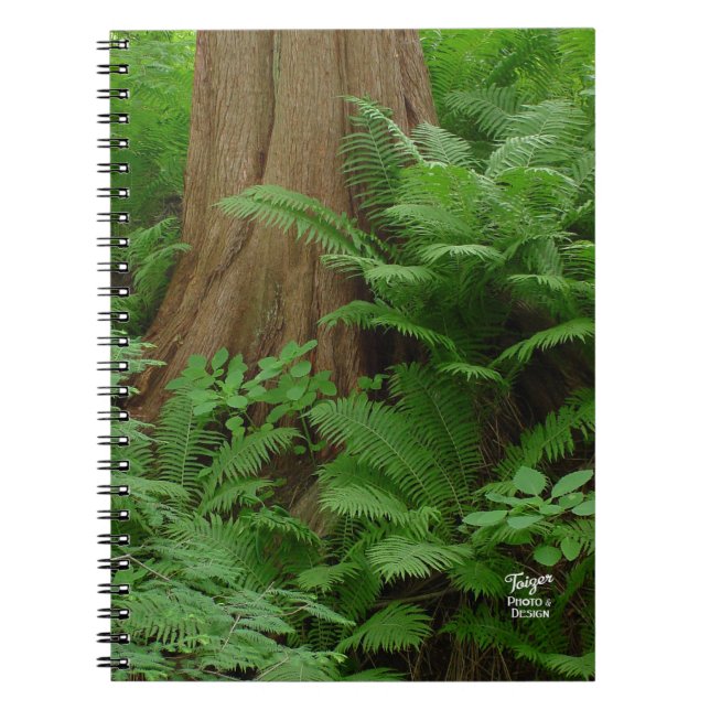 Redwood & Ferns notebook Anteckningsbok (Framsidan)