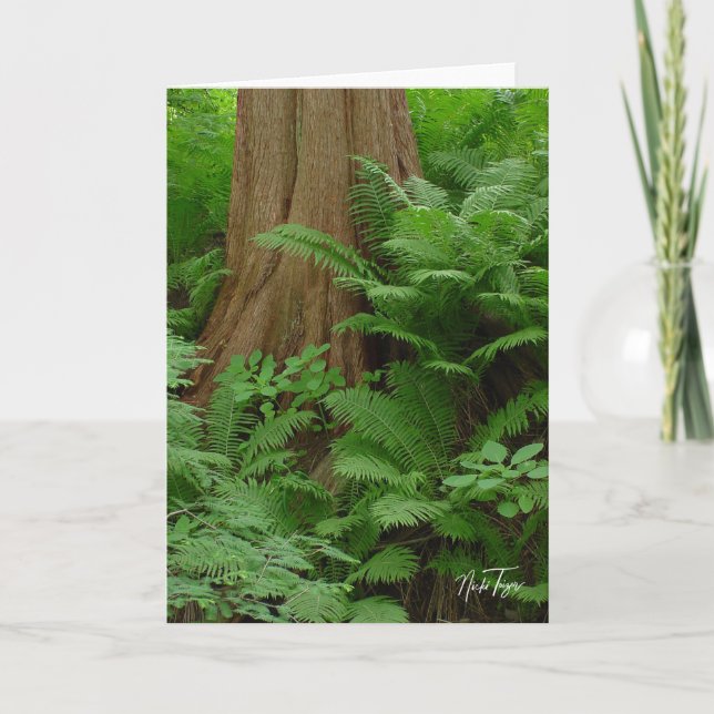 Redwood & Ferns notecard Tack Kort (Framsida)