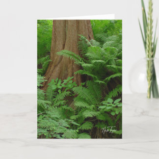 Redwood & Ferns notecard Tack Kort