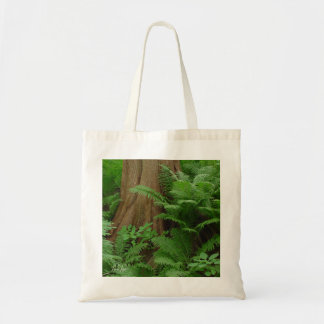 Redwood & Ferns tock Tygkasse