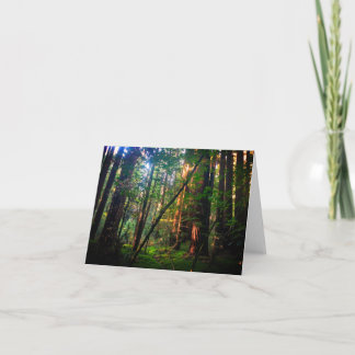 Redwood Forest Card Kort
