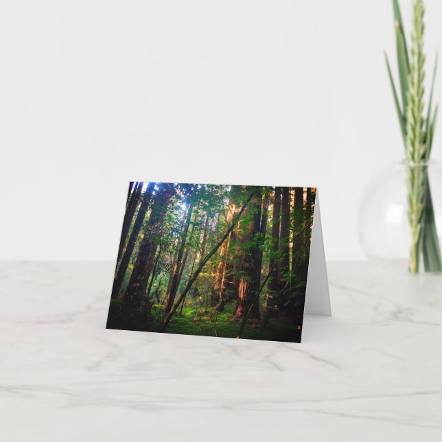 Redwood Forest Card Kort (Framsida)