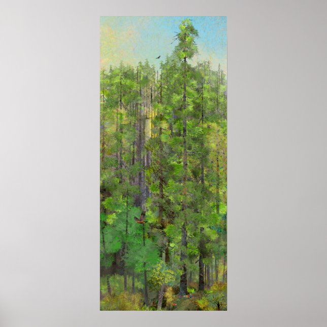 Redwood Forest Poster (Framsidan)