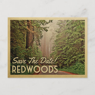 Redwood Forest Save Date Humboldt California Meddelande Vykort