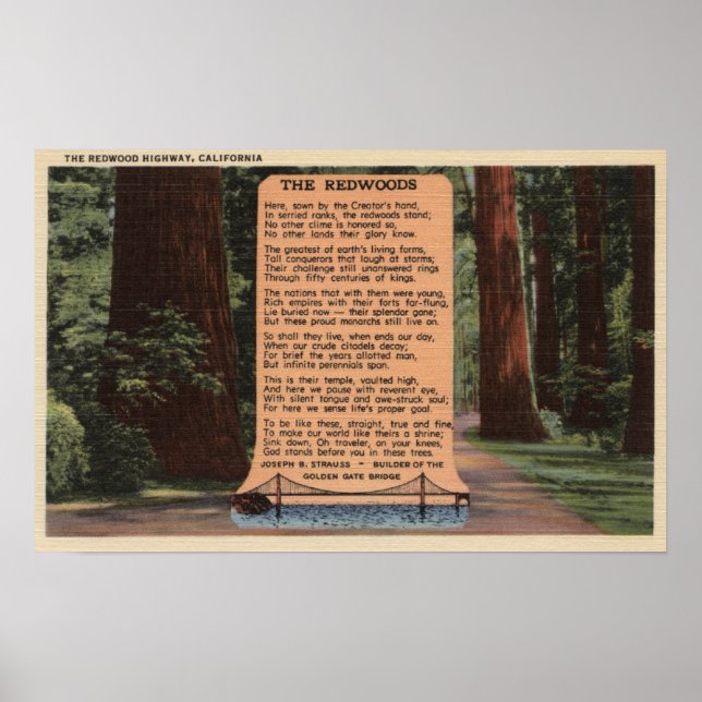 Redwood Highway, Dikt by Strauss Poster (Framsidan)
