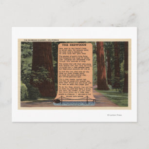Redwood Highway, Dikt by Strauss Vykort