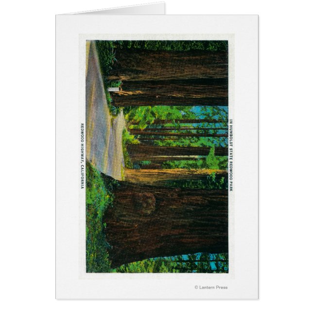 Redwood Highway in Humboldt State Redwood Park Hälsningskort (Framsidan)