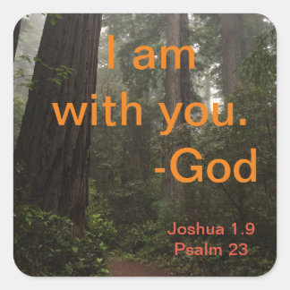 Redwood Hiking Trail Fyrkantigt Klistermärke