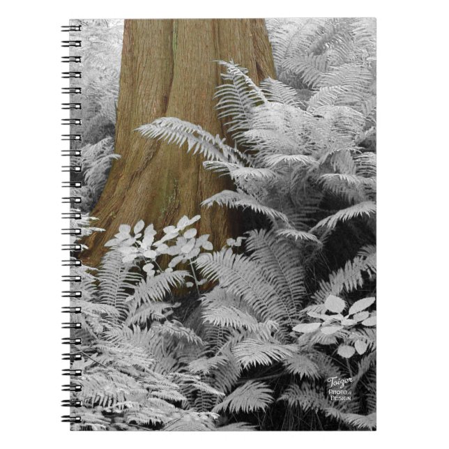Redwood & Infrarars Ferns notebook Anteckningsbok (Framsidan)