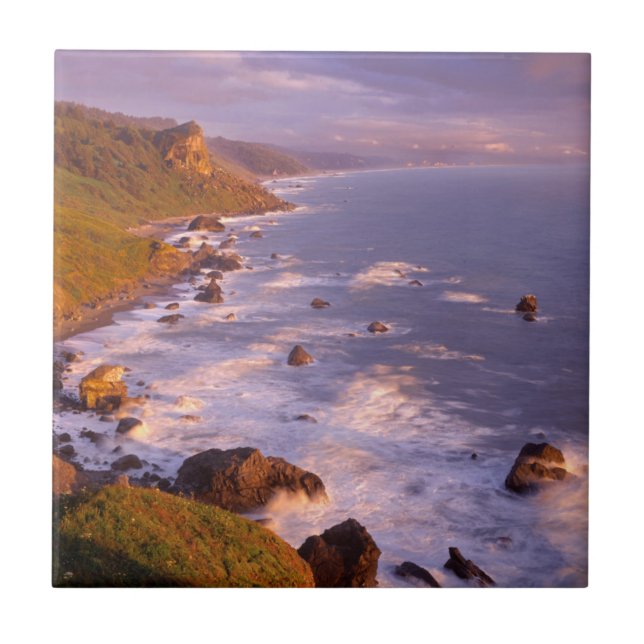 Redwood kusten, Kalifornien Kakelplatta (Framsidan)