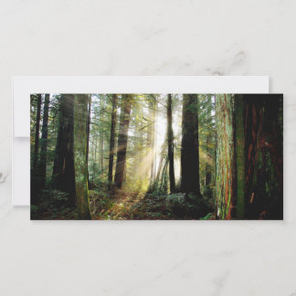 Redwood Morgon
