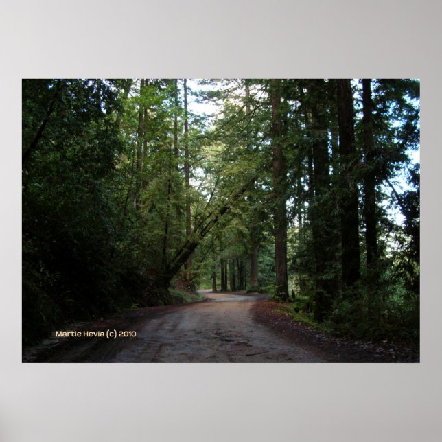 Redwood Mountain Road Poster (Framsidan)