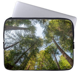Redwood National and State Parker, Kalifornien Laptop Fodral
