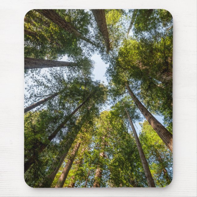 Redwood National and State Parker, Kalifornien Musmatta (Framsidan)