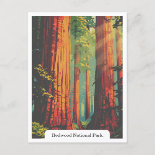 Redwood National and State Parker, Kalifornien USA Vykort