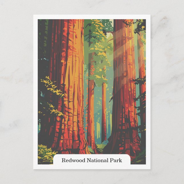 Redwood National and State Parker, Kalifornien USA Vykort (Framsida)