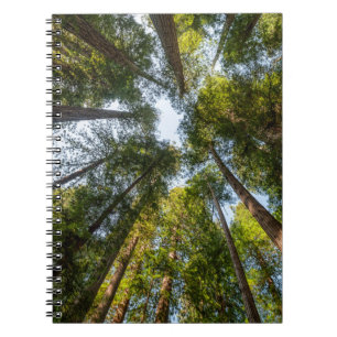 Redwood National and State Parks, Kalifornien Anteckningsbok
