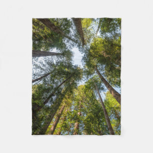 Redwood National and State Parks, Kalifornien Fleecefilt