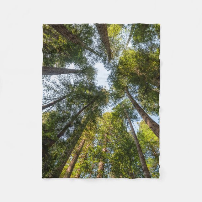 Redwood National and State Parks, Kalifornien Fleecefilt (Framsidan)