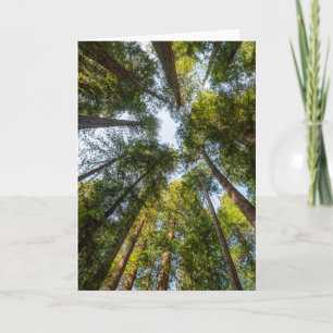 Redwood National and State Parks, Kalifornien Kort