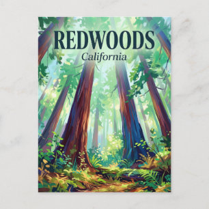 Redwood National and State Parks Kalifornien Vykort