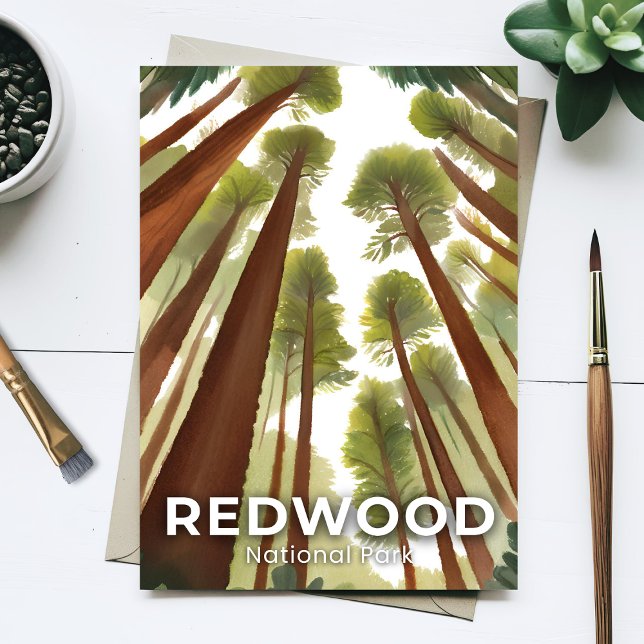 Redwood National Park | Akvarell Hög Skog Vykort (Skapare uppladdad)