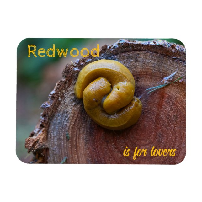 Redwood National Park Banana Slug Pair Magnet (Horisontell)