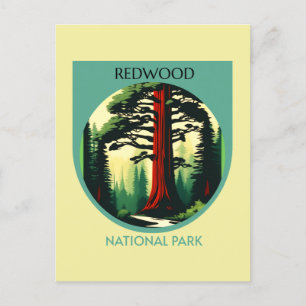 Redwood National Park Beauty i California Vykort