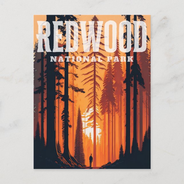 Redwood National Park, CA Postcard Vykort (Framsida)