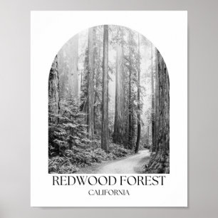 Redwood National Park California Arch Photo Print Poster