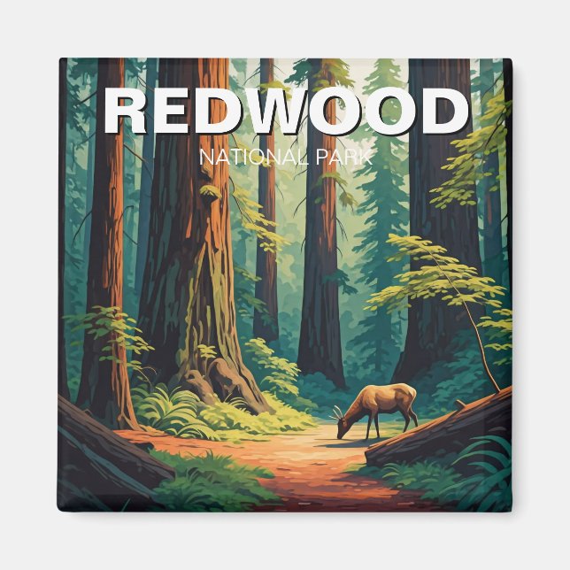 Redwood National Park California Elk Magnet (Framsidan)