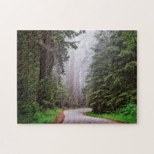 Redwood National Park California Foto Pussel