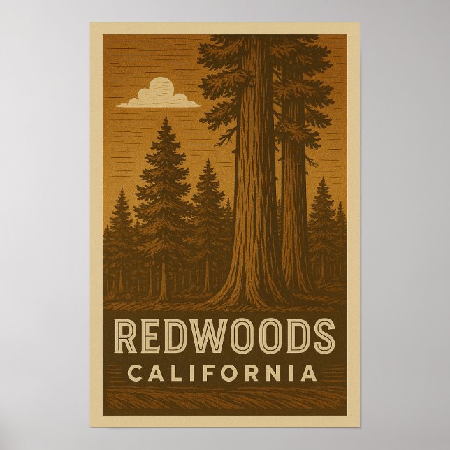 Redwood National Park California Poster (Framsidan)