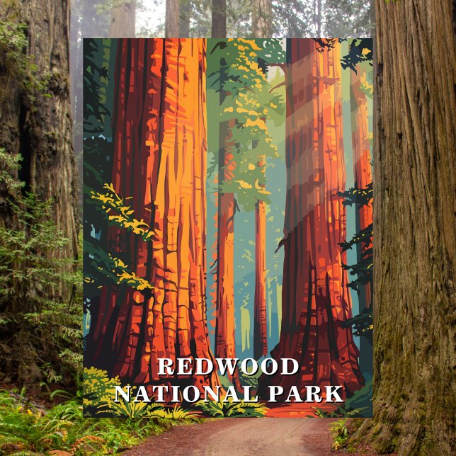 Redwood National Park, California Reseminiarkort Vykort (Redwood National Park, California)