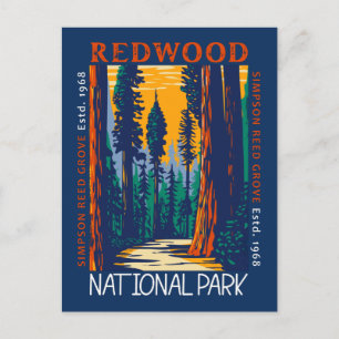 Redwood National Park California Retro Distress Vykort