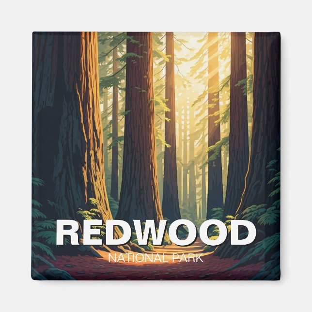 Redwood National Park California Sunlight Magnet (Framsidan)