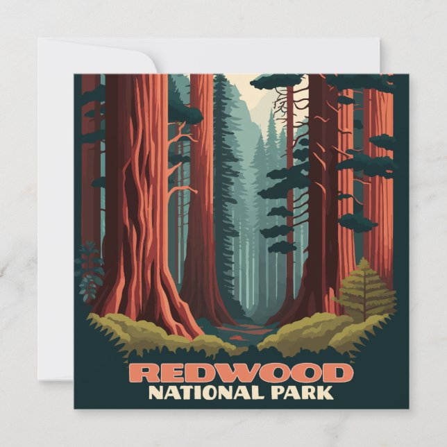 Redwood National Park California Träd (Framsida)