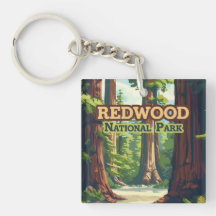Redwood National Park California Träd Retro