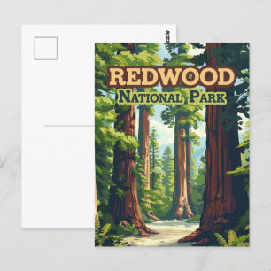 Redwood National Park California Träd Retro Vykort