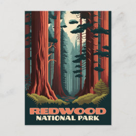 Redwood National Park California Träd Vykort