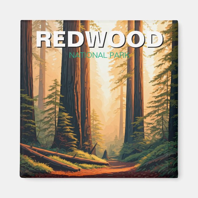 Redwood National Park California Travel Magnet (Framsidan)