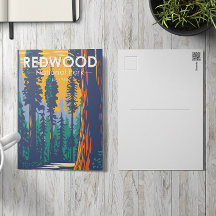 Redwood National Park California Vintage