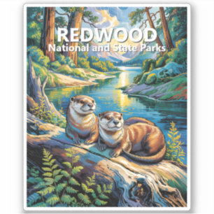 Redwood National Park Färgglad Djur Söta Uttrar Klistermärken