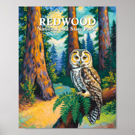Redwood National Park Forest Owl Van Gogh Style Poster