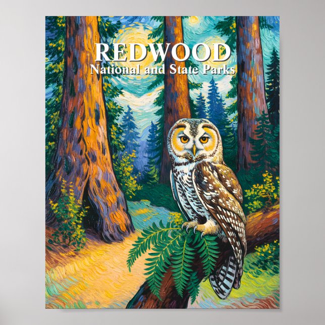 Redwood National Park Forest Owl Van Gogh Style Poster (Framsidan)